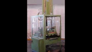 Loveshaw Little David Model SP4TB random top and bottom