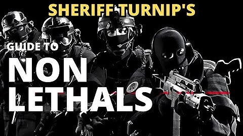 Non Lethal Options | Ready or Not Game | SWAT Training at its Finest