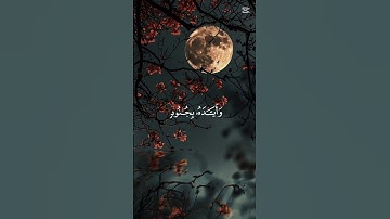 لا تهرب من القرآن الكريم #اسلام