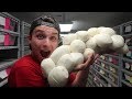 Pulling 50 eggs from 20 foot monster snake ft brian barczyk badchoicenoah