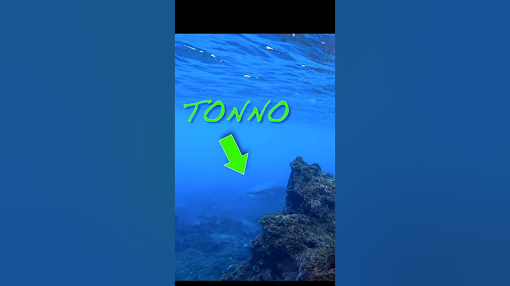 Il tonno a caccia di pesci Serra #lovefish #pesceserra #tonno