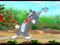 Tom And Jerry New Episode The Summer Tomato HD 