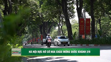 Hà Nội rực rỡ cờ hoa chào mừng Quốc khánh 2/9