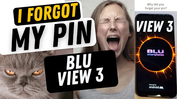 Blu View 3 I Forgot my Pin