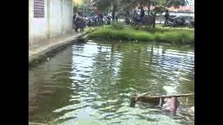 stekmal lagi becanda 2012-2013 (Aceng sadega)