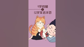 猫与人的年龄是可以换算的，你家猫咪多少岁了呢？［猫咪知识］有猫真好