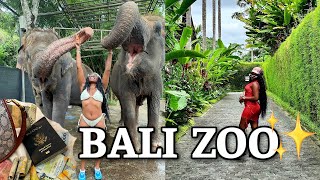 The Bali Zoo | Special Access Pass | Elephant Mud Fun | The BluePrint Era Ep. 2