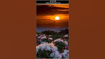 ولقد علمتم الذين اعتدوا منكم في السبت فقلنا لهم كونوا قردة - سورة البقرة آية 65 عبدالباسط عبدالصمد