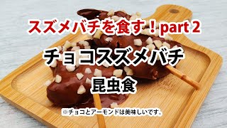 昆虫食 part-2　チョコスズメバチ
