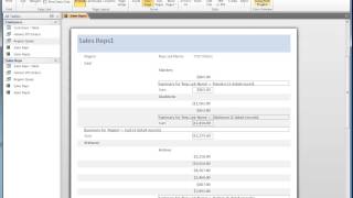 Access Report editing; summary options