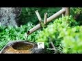 Tea culture how to make matcha a japanese tea ceremony teastories  tealeaves