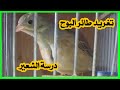 تغريد طائر البوح روعة ماشاء الله درسة الشعير