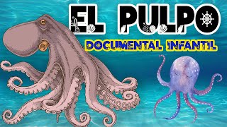 EL PULPO 🐙 | Videos educativos para niños |Los animales | Animales marinos | Documentales para niños