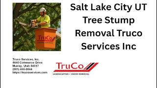 Salt Lake City UT Tree Stump Removal Truco Services Inc