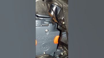 delonghi coffee machine magnifica s