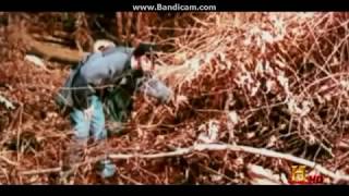 MonsterQuest Ohio Grassman Nest