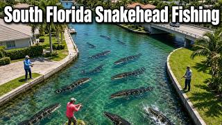 Urban Canal Snakehead Fishing in South Florida