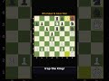 Brutal ROOK SACRIFICE for Mate! 😱 #chess #shorts #Shorts #Chess