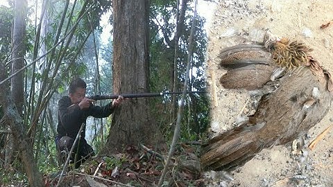 เช้านี้ไปต่อไก่ป่าได้ไก่ป่าตัวเมย EP12  dib qaib qus 2021