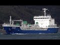 ひまわり 炭カル船 NSユナイテッド MV HIMAWARI 2019JAN の動画、YouTube動画。