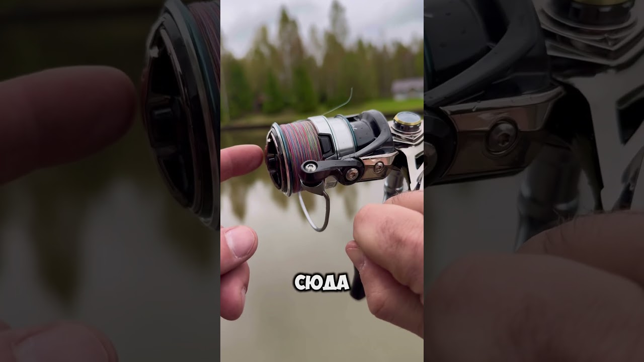 Обзор на Nisus REX 2500 