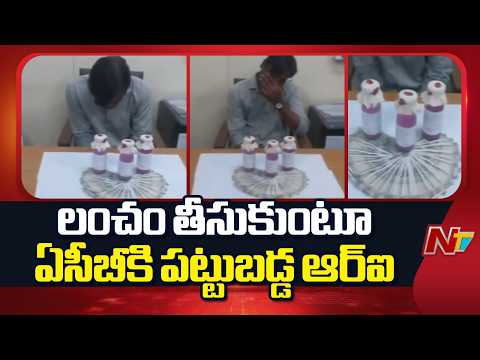 Vikarabad District: పెద్దేముల్ MRO కార్యాలయంలో ACB అధికారుల సోదాలు | NTV Telugu - NTVTELUGU