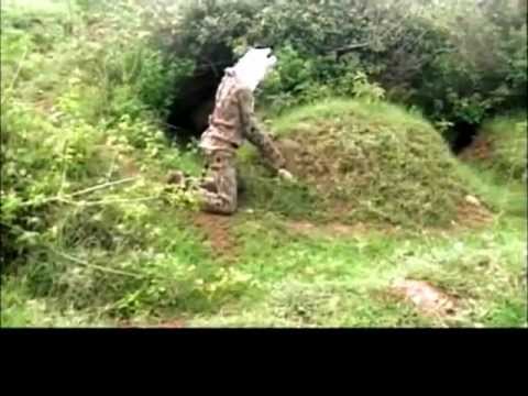 Ciengjiek Merbol Ke Nyamar By Lultuachdojiok LTD BULBUL