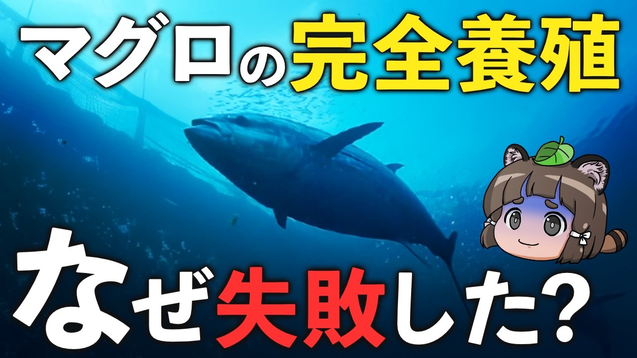 【日本初】マグロの完全養殖はなぜ失敗してしまったのか？