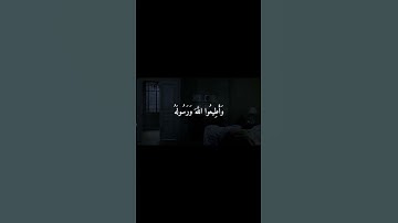 فاتَّقوا الله وأصلحوا ذات بينكم | سورة الأنفال | المنشاوي
