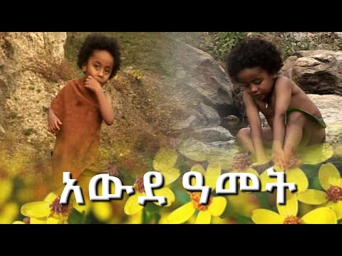 ቪዲዮ: ለአረጋውያን ድመቶች ተደራሽ ፣ ደህንነቱ የተጠበቀ ቤት እንዴት እንደሚፈጠሩ