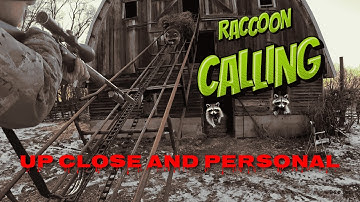 LATE SEASON RACCOON CALLING: Calling in HUNGRY RACCOONS!!!#outdoors #hunting #coonhunting