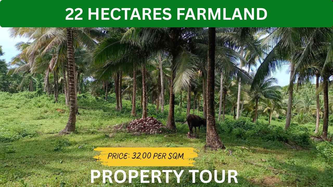 Blog 27 Farm with an Area of 23 Hectares