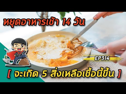 วีดีโอ: อาหารเช้า: 7 ข้อผิดพลาดในการรับประทานอาหาร