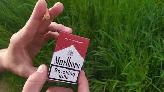 Marlboro Red Duty Free. Обзор, цена, вкус, стоит ли покупать?