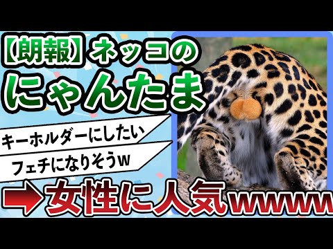 女さん「たまたまかわいい」【にゃんたま】  にゃんたま＝ネコの金玉