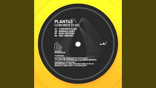 Concrete Echo