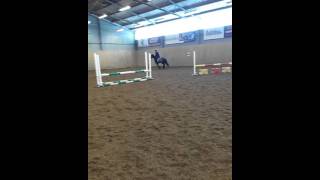 Stenebackens Dezibelle -08