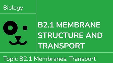 B2.1 Membranes and Transport [IB Biology SL/HL]