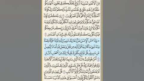 القرآن الكريم سورة الزمر من الايه الكريمه 1 إلى الآية الكريمة 21 محمد ايوب
