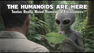 Download Lagu The Humanoids Are Here: Twelve Really Weird Humanoid Encounters MP3