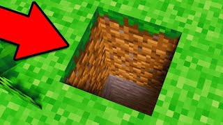 Why You NEVER Dig Straight Down In Minecraft!