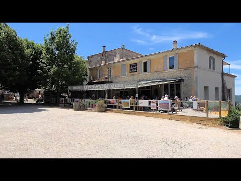 Sault and the lavender fields, Provence, France (videoturysta.eu)