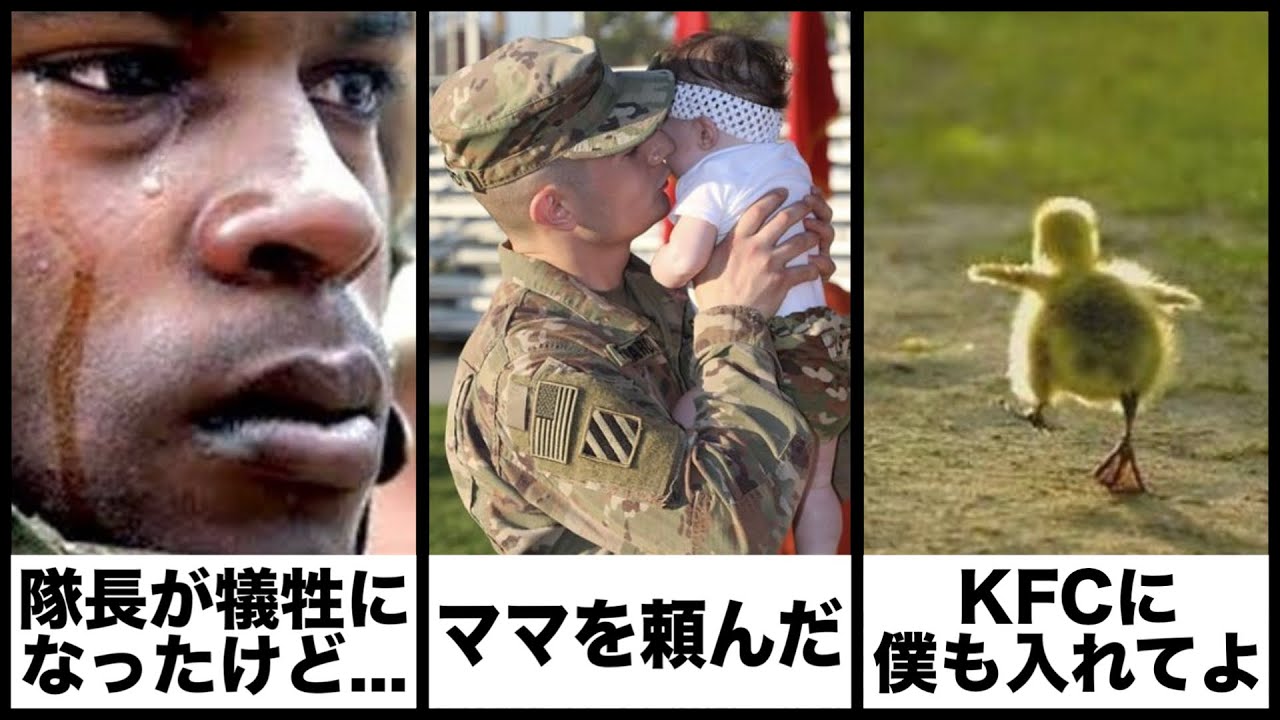 【感動】ボケての感動ネタに本気でアフレコしてツッコんでみたらヤバすぎたｗｗｗｗ大総集編【第1弾】