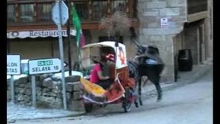 Burro Escoba Vega de Pas