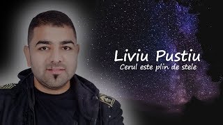 Liviu Pustiu - Cerul este plin de stele  | Official Audio