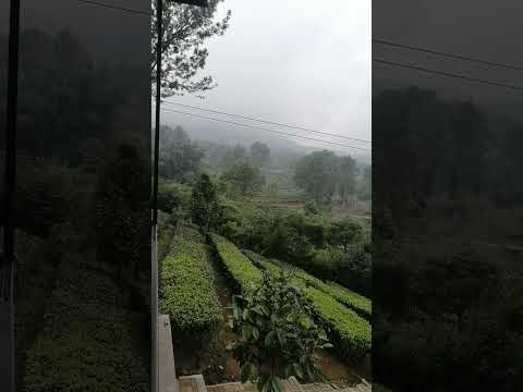 ١ يونيو ٢٠٢٥