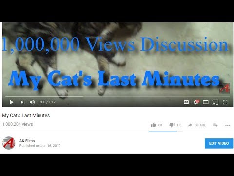 1,000,000 Views Discussion: My Cat's Last Minutes - 1,000,000 Views Discussion: My Cat's Last Minutes
