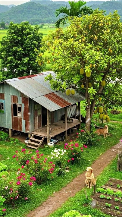 Small house in the countryside #dreamhouse #peace