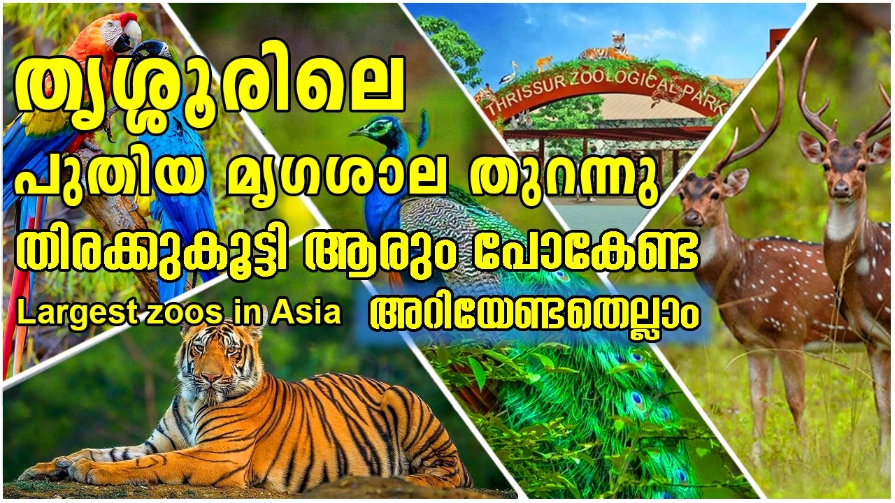 Puthur Zoological Park Full Tour | തുറന്ന സ്ഥലത്ത് മൃഗങ്ങളെ കാണാം | Asia's largest zoo