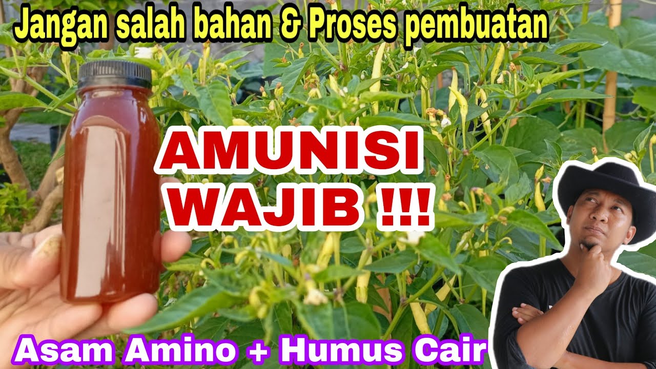 Panduan Lengkap Asam Amino ada di video ini